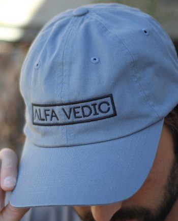 AV Dad Hat