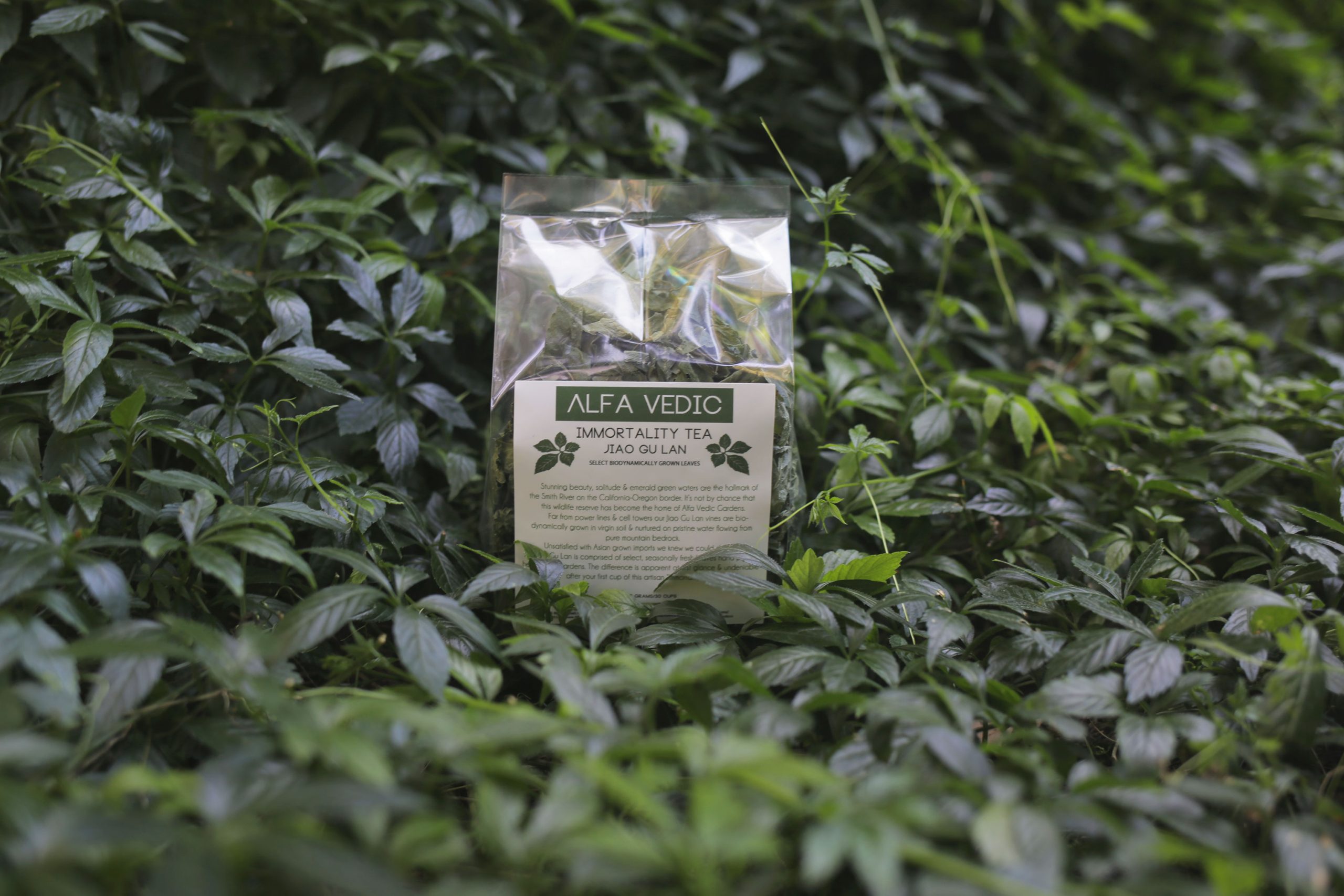 Immortality Tea - Alfa Vedic