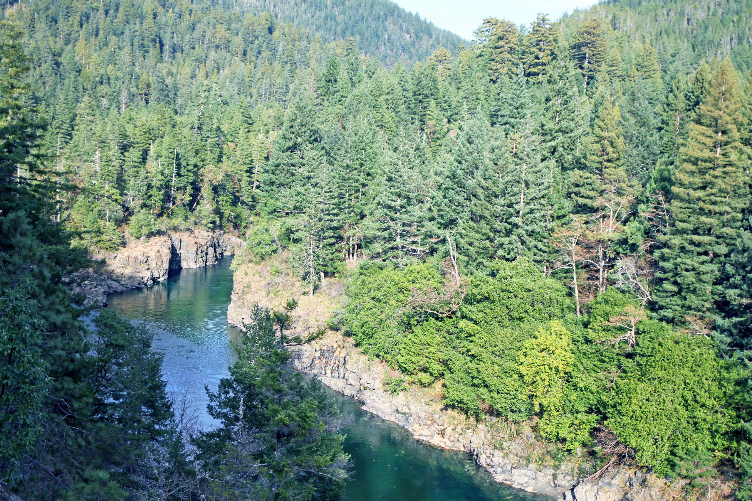 Alfa Vedic Smith River Alfa Vedic Smith River